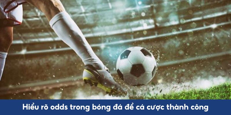 Hiểu rõ odds trong bóng đá để cá cược thành công