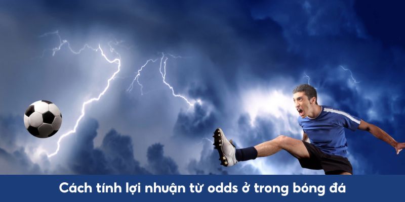 Cách tính lợi nhuận từ odds ở trong bóng đá